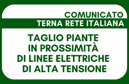 TAGLIO PIANTE IN PROSSIMITA' DELLE LINEE ELETTRICHE AEREE TAGLIO PIANTE IN PROSSIMITA' DELLE LINEE ELETTRICHE AEREE