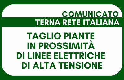 terna