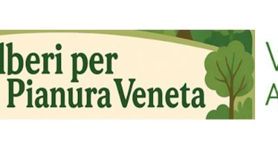 IMMAGINE PUBBLICAZIONE