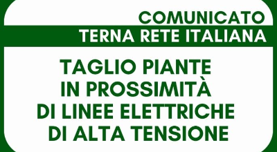 terna terna